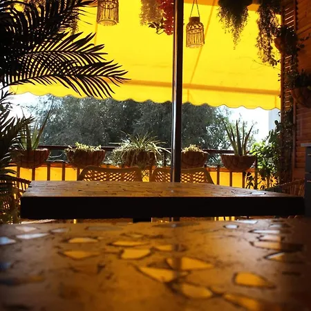 Guest house Rosie's Club Ajaccio (Corsica)