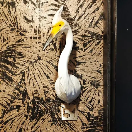 Rosie's Club Ajaccio (Corsica)